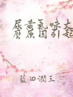 尿黄气味大是什么原因引起的