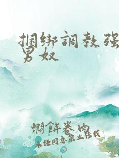 捆绑调教强制虐男奴