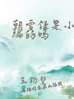 朝雪录是小说改编的吗