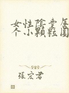 女性阴囊唇长了个小颗粒图