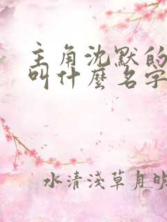 主角沈默的小说叫什么名字