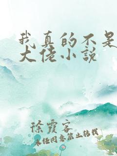 我真的不是女装大佬小说