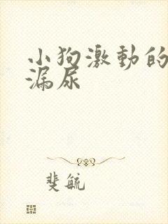 小狗激动的时候漏尿