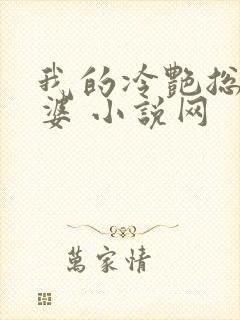 我的冷艳总裁老婆 小说网