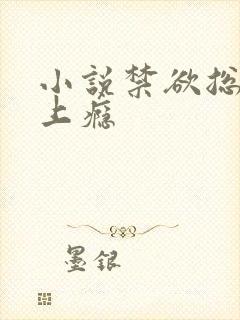 小说禁欲总裁宠上瘾