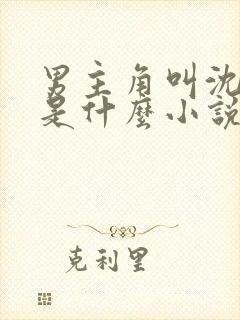 男主角叫沈肆的是什么小说