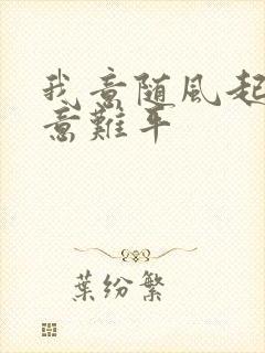 我意随风起风止意难平