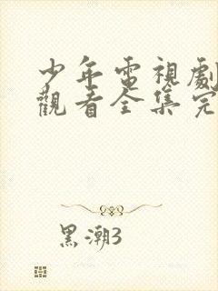 少年电视剧免费观看全集完整版高清