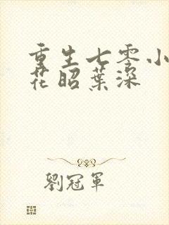 重生七零小军嫂花昭叶深