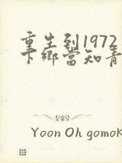 重生到1972下乡当知青的小说