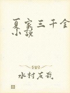夏家三千金原著小说