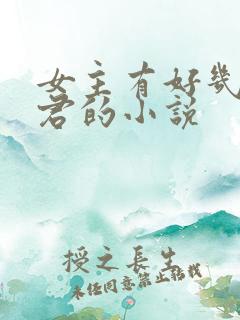 女主有好几个夫君的小说