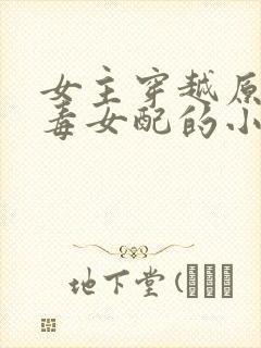 女主穿越原耽恶毒女配的小说