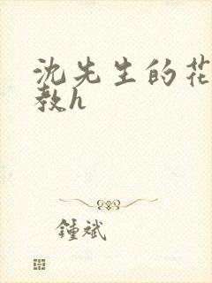 沈先生的花式调教h