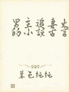 男主追妻火葬场的小说古言