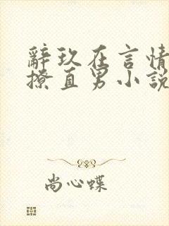 辞玖在言情文里撩直男小说