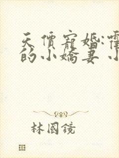 天价宠婚:霍总的小娇妻 小说