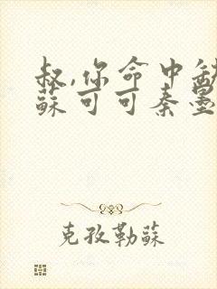 叔,你命中缺我苏可可秦墨琛