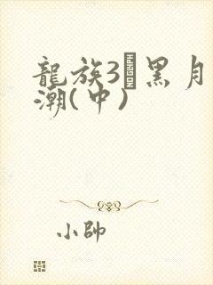 龙族3·黑月之潮(中)