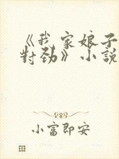 《我家娘子,不对劲》小说