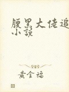 腹黑大佬追妻路小说