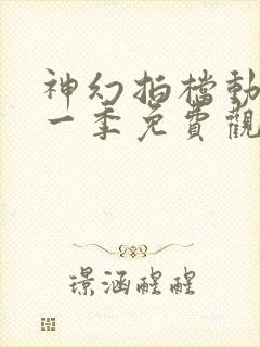 神幻拍档动漫第一季免费观看