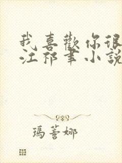 我喜欢你很久了江祁聿小说