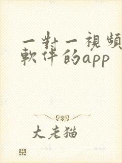 一对一视频聊天软件的app