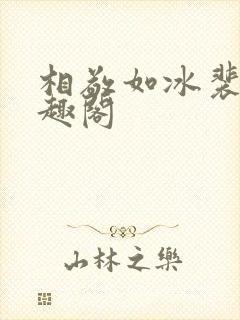 相敬如冰裴芸笔趣阁