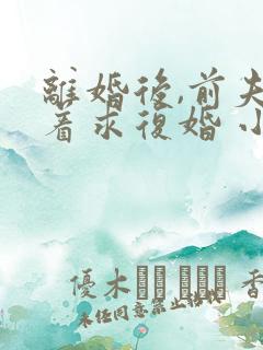 离婚后,前夫哭着求复婚 小说免费阅读