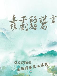 妻子的谎言 电视剧结局