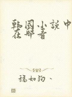韩国小说中文版在哪看