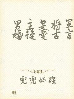 男主是将军的先婚后爱古言