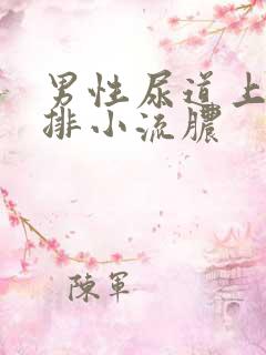 男性尿道上有一排小流脓