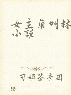 女主角叫林柚的小说