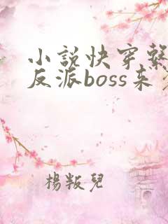 小说快穿系统之反派boss来袭免费阅读