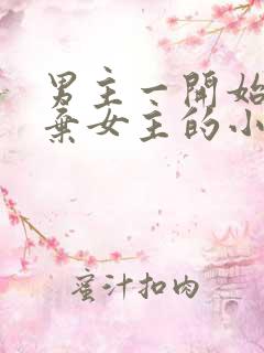 男主一开始很嫌弃女主的小说