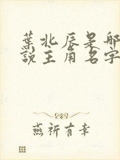 叶北辰是哪部小说主角名字叫什么