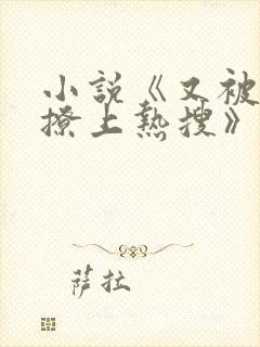 小说《又被男神撩上热搜》