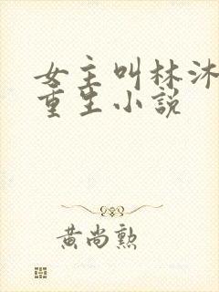 女主叫林沐瑶的重生小说