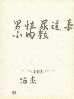 男性尿道长好多小肉粒