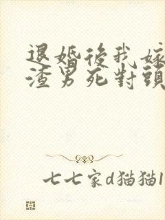 退婚后我嫁给了渣男死对头