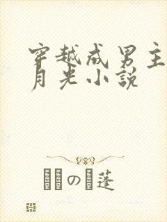 穿越成男主的白月光小说