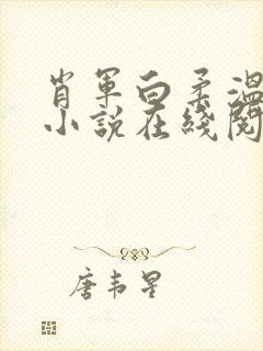 肖军白柔温婉的小说在线阅读免费全文