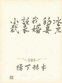 小说我的冰山总裁未婚妻免费阅读