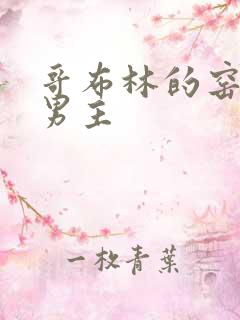 哥布林的窑洞双男主