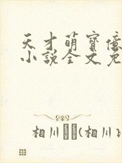 天才萌宝亿万妻小说全文免费阅读