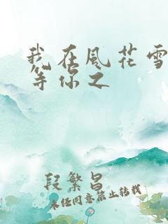 我在风花雪月里等你之