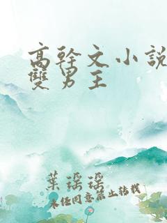 高干文小说推荐双男主