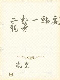 二对一韩剧免费观看